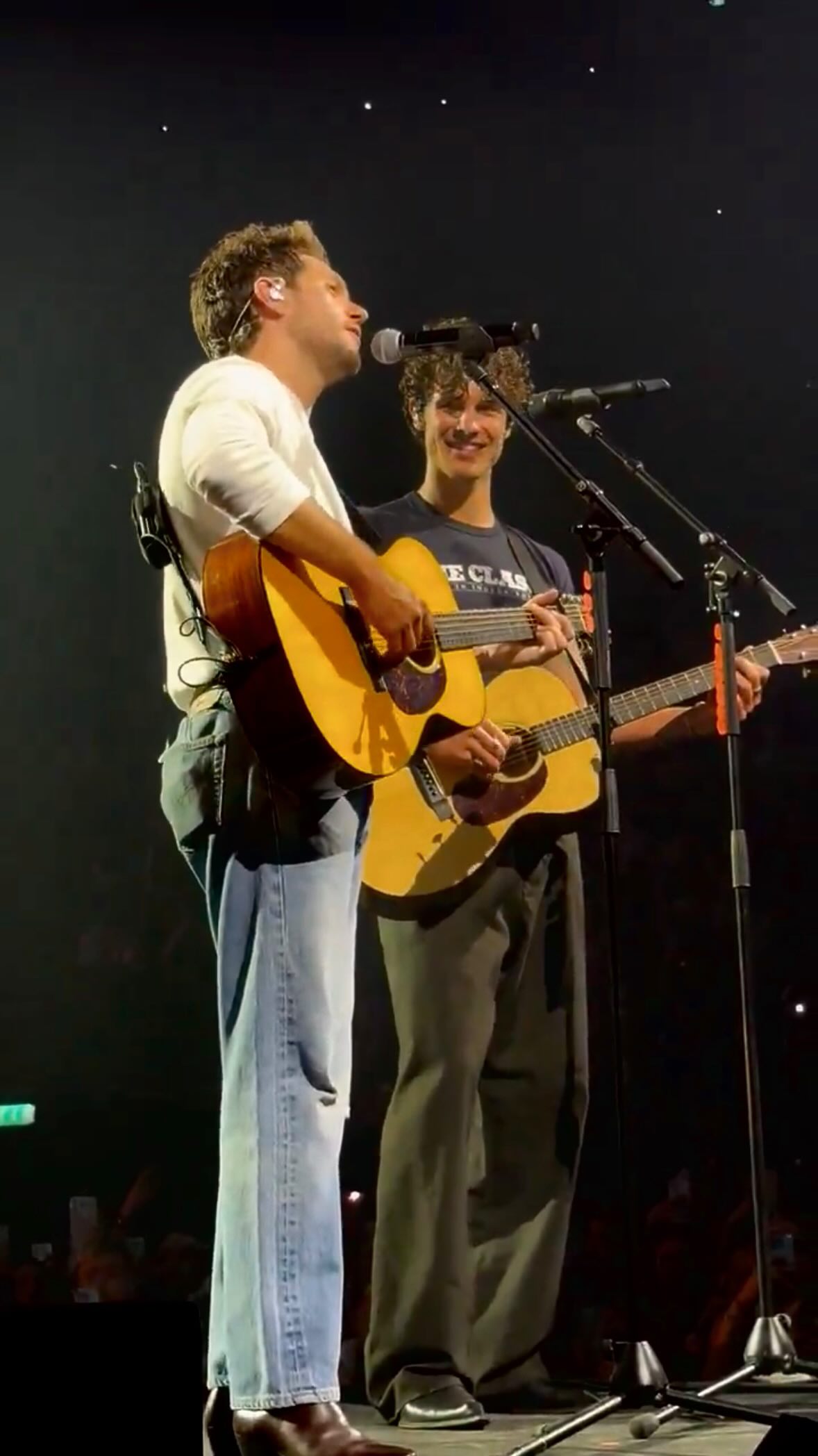 Apenas Niall Horan e Shawn Mendes dividindo o palco em Londres. 💜🥹 #OnTheRoadAgainLondon