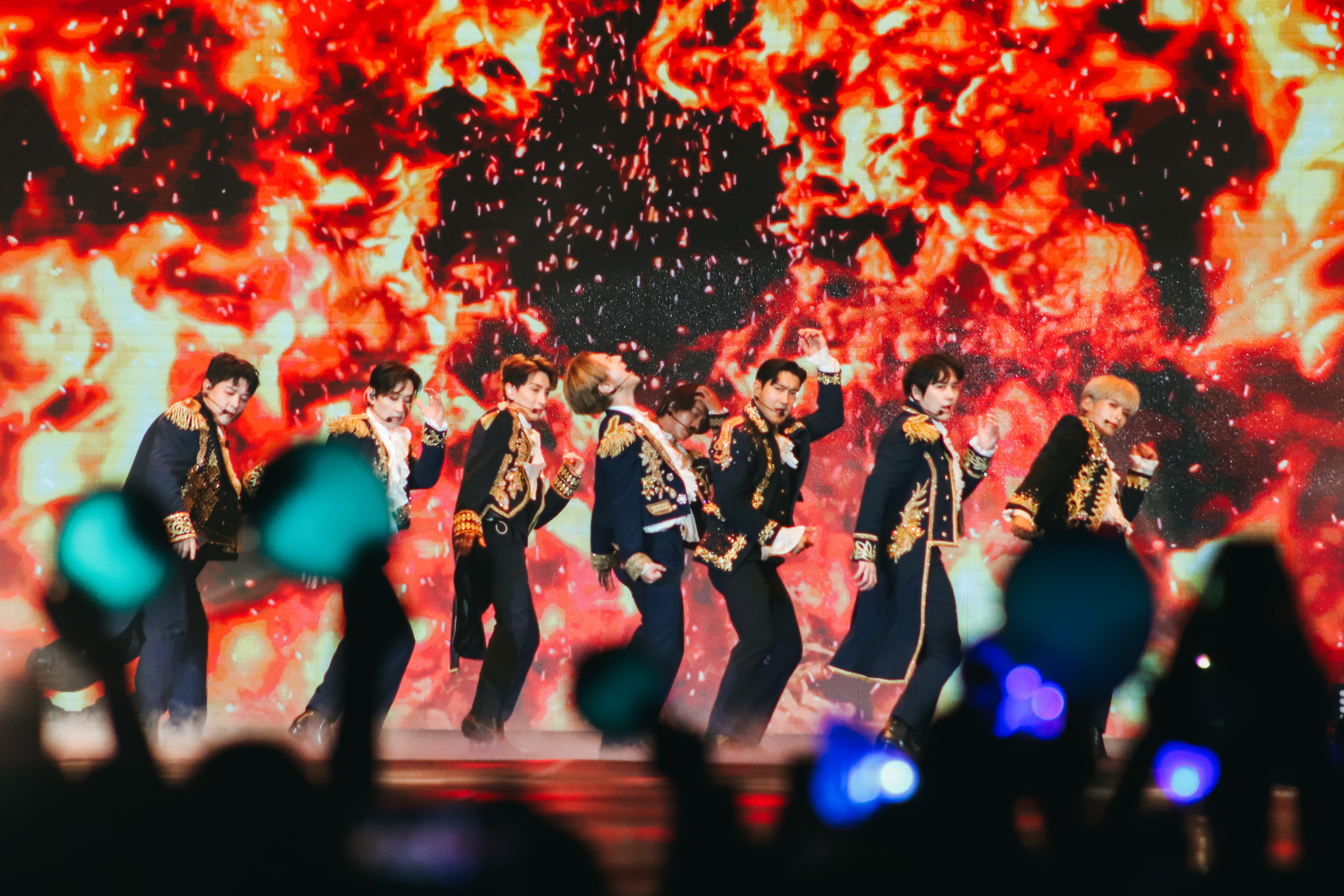 Super Junior por Isabella Lourenço (6)