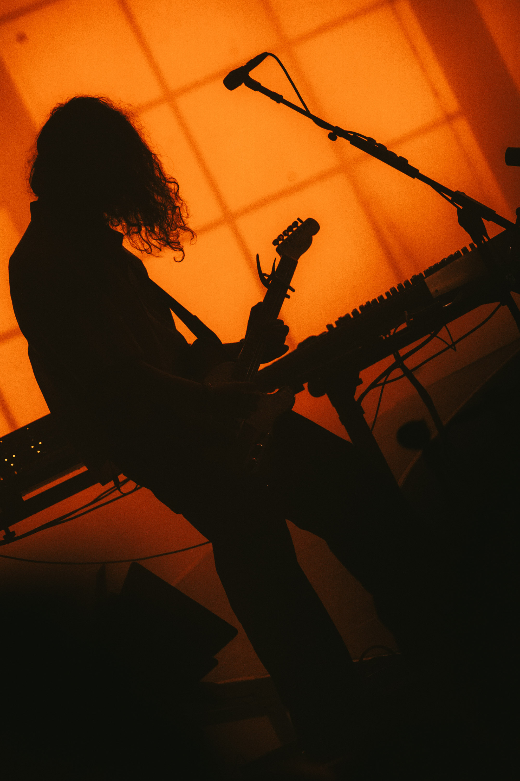 LANY_weinthecrowd-15